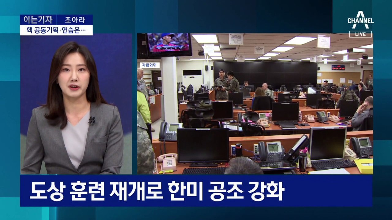 [아는 기자]尹 대통령이 말한 ‘핵 공동 기획’ 의미는?