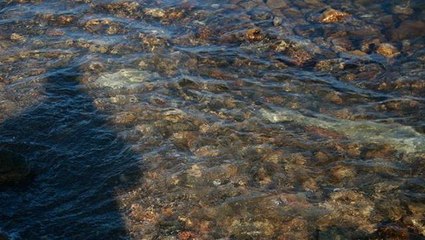 Göl suyunun çekilmesi ile ortaya çıkan tarihi sütun koruma altına alındı