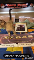 Miguel Vicente recebido com euforia em casa