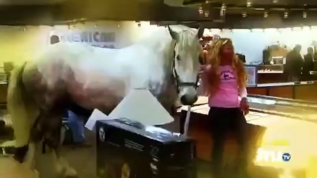 Hardcore Pawn - Se4 - Ep04 HD Watch