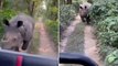 Massive rhino chases startled tourists through national park