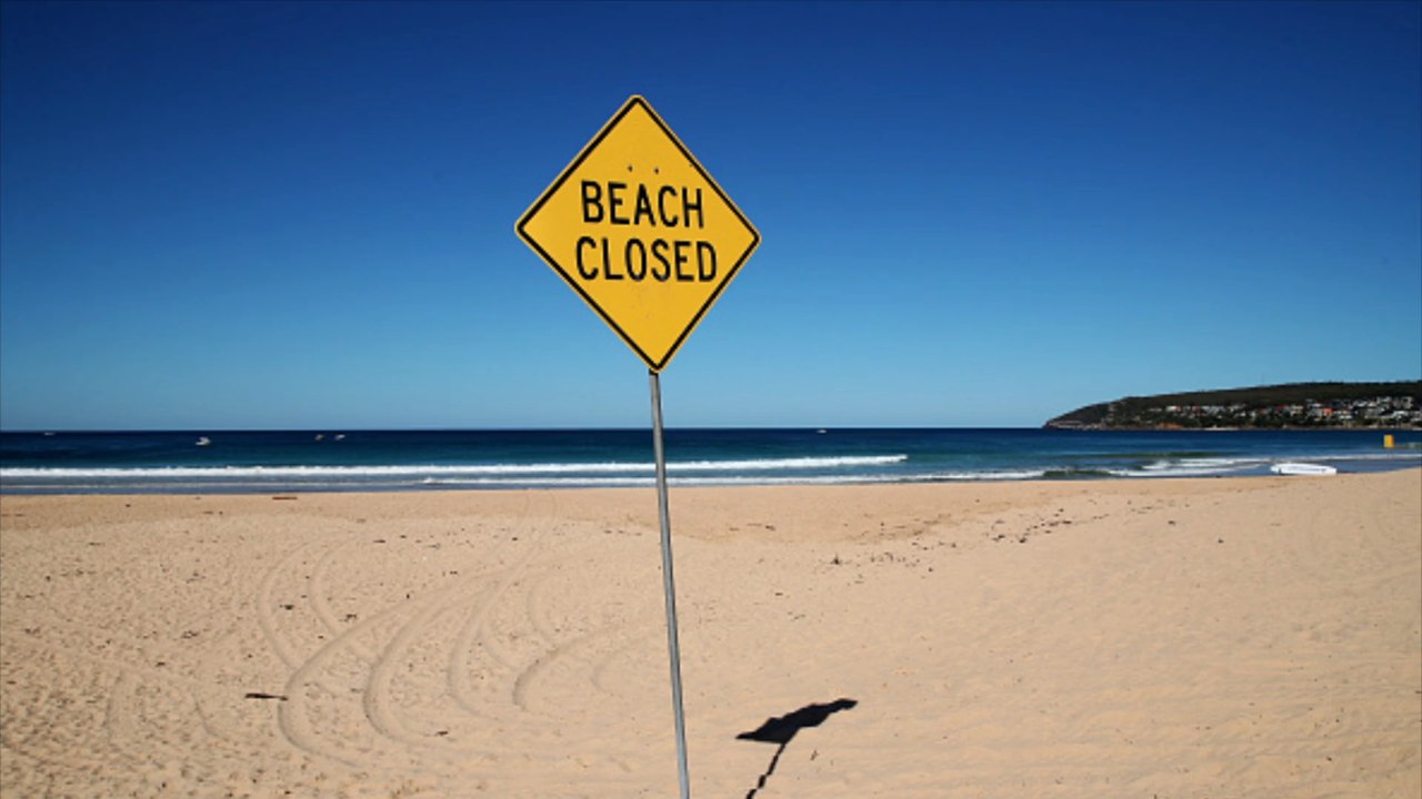 Sydney: Palm Beach nach Hai-Alarm gesperrt
