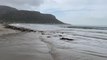 JOHANNESBURG - Güney Afrika'da kanalizasyon sızıntıları nedeniyle 3 plaj kapatıldı