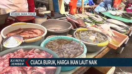 Cuaca Buruk, Harga Ikan Laut di TPI Puger Naik