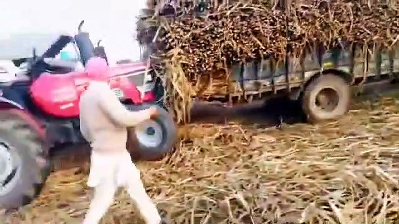 Arjun 605 tractor fully loaded trolley _ tracto