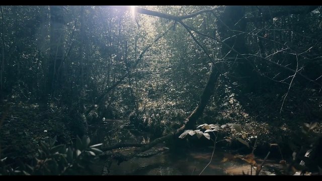 La Belle bleue Bande-annonce VF