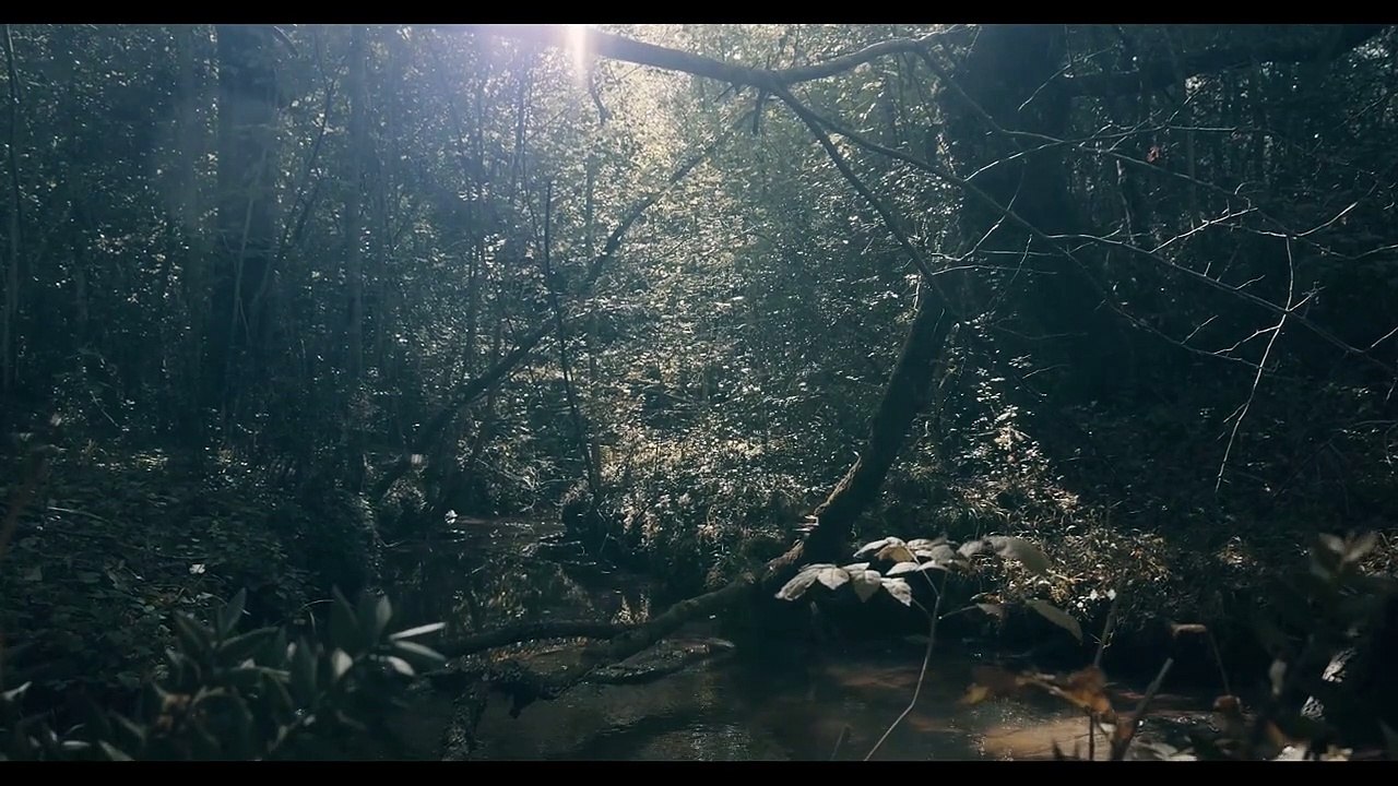 La Belle bleue Bande-annonce VF