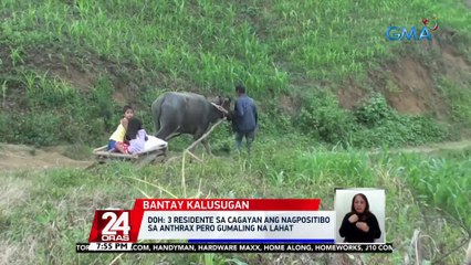 DOH: 3 residente sa Cagayan ang nagpositibo sa anthrax pero gumaling na lahat | 24 Oras