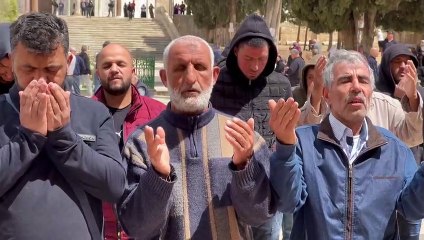 Der Tempelberg in Jerusalem: Eine heilige Stätte für Juden und Muslime