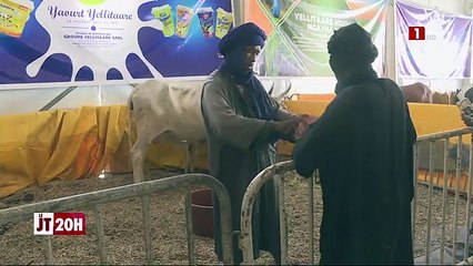 LE JOURNAL TÉLÉVISÉ DE 20H DU MERCREDI 28 DECEMBRE 2022