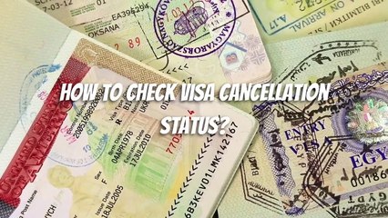 Quick Guide to Check Your UAE Visa Cancellation & Expiry Status 🛂