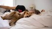 Hund schläft im Bett: Warum das (k)eine gute Idee ist