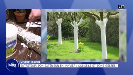 Votre jardin : Entretenir son extérieur en Janvier : conseils et bons gestes !