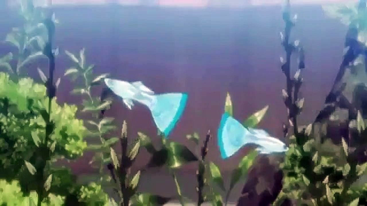 Nana - Ep46 HD Watch