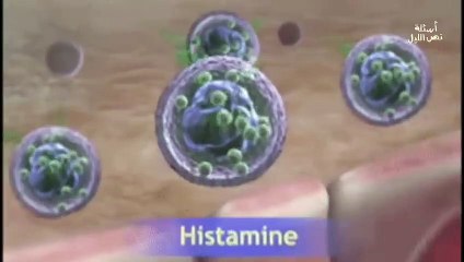 ليه بنحس بالحكة لما الناموس يقرصنا؟(اسئلة نص الليل)