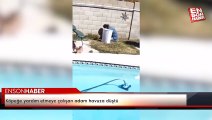 Köpeğe yardım etmeye çalışan adam havuza düştü