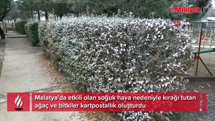 Malatya’da kırağı kartpostallık görüntüler oluşturdu
