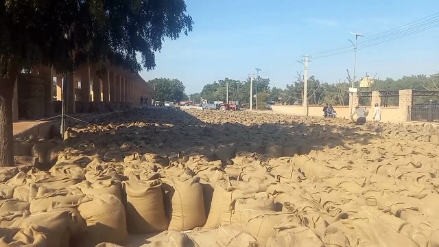 मंडी में जीरे का कारोबार तो घटा तो, लेकिन भाव बढ़ा