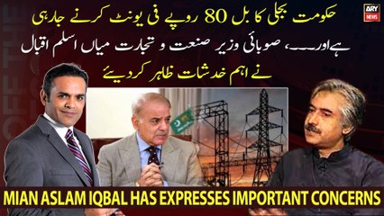 "Government is going to make the electricity 80 Rs per unit and...," Mian Aslam Iqbal