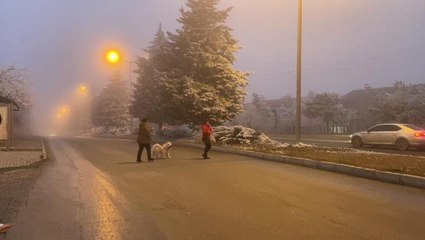 Kastamonu'da sis etkili oluyor