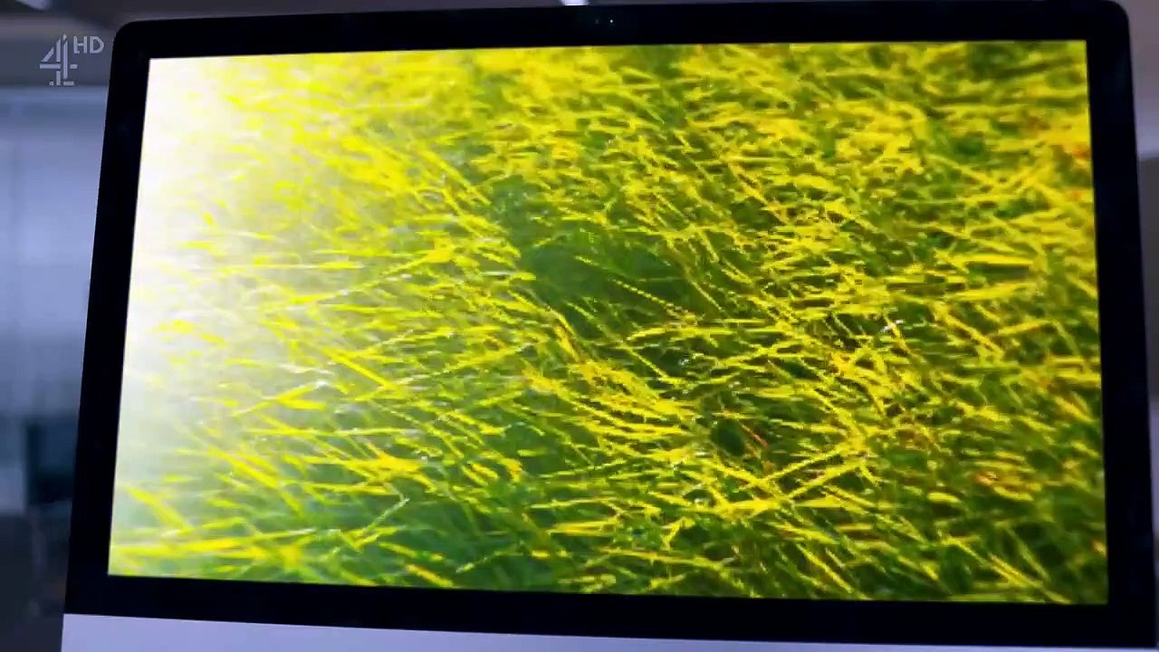 Humans - Se2 - Ep08 HD Watch