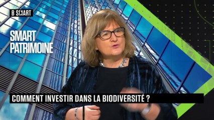SMART PATRIMOINE - Emission du mercredi 4 janvier