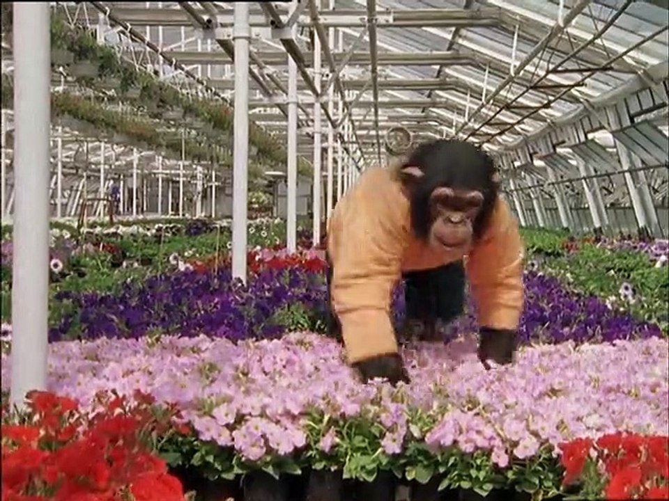 Unser Charly Staffel 6 Folge 4