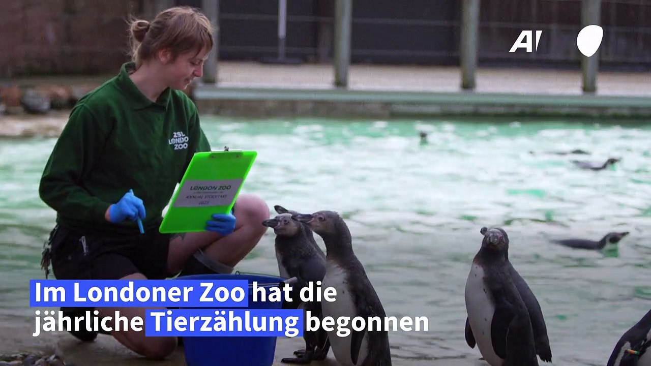 Londoner Zoo macht Tier-Inventur