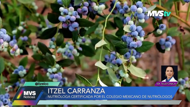 ¿Cómo alimentarnos para lograr nuestros propósitos en 2023?MVS Noticias