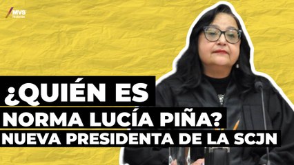 'Norma Lucía Piña, un perfil imparcial y con perspectiva de género'
