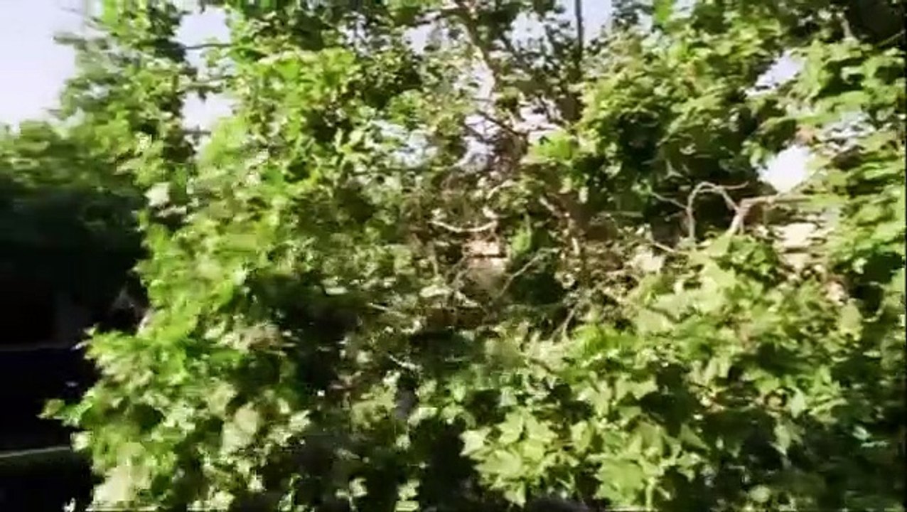 JAG - Se10 - Ep04 HD Watch