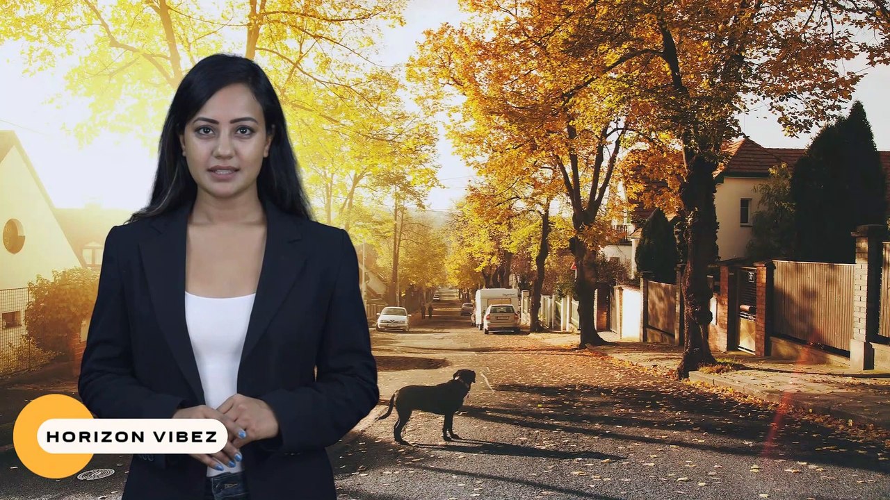 Driver Jamuna - tamil movie review How to Become a Driver Jamuna Tamil New Movie Reviews Influencer in Three Easy Steps