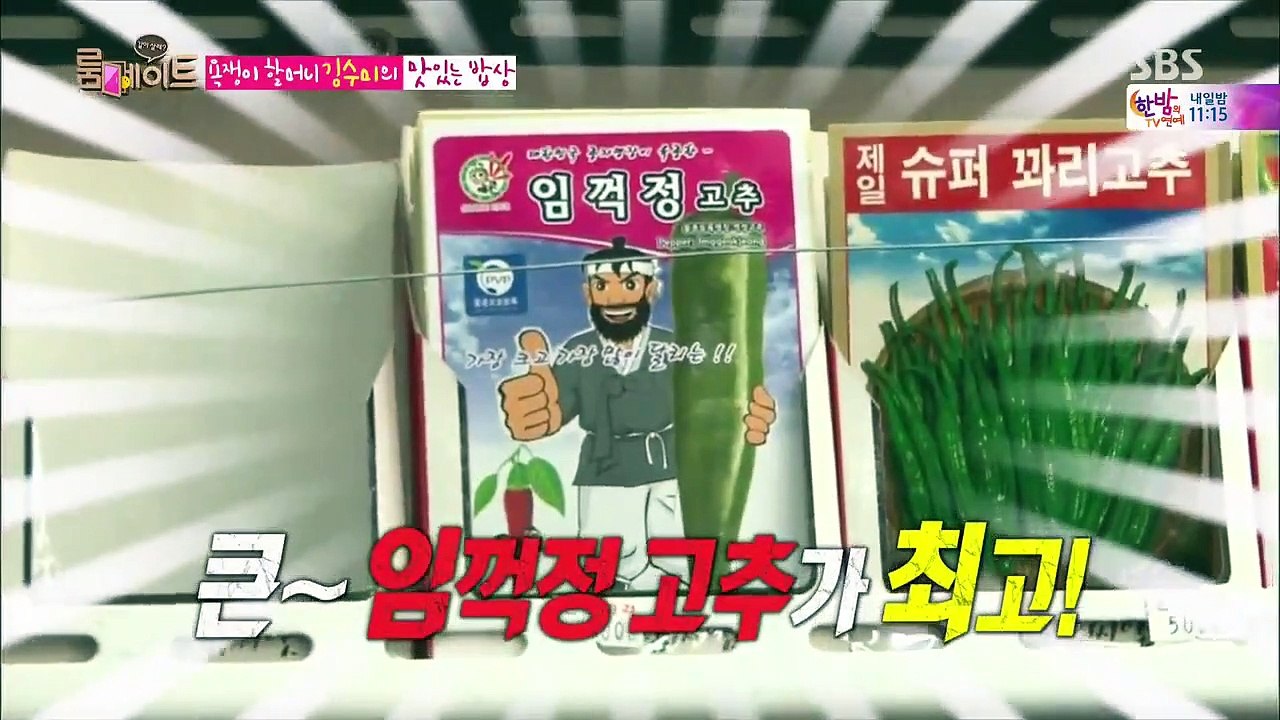 Roommate - Se2 - Ep24 HD Watch