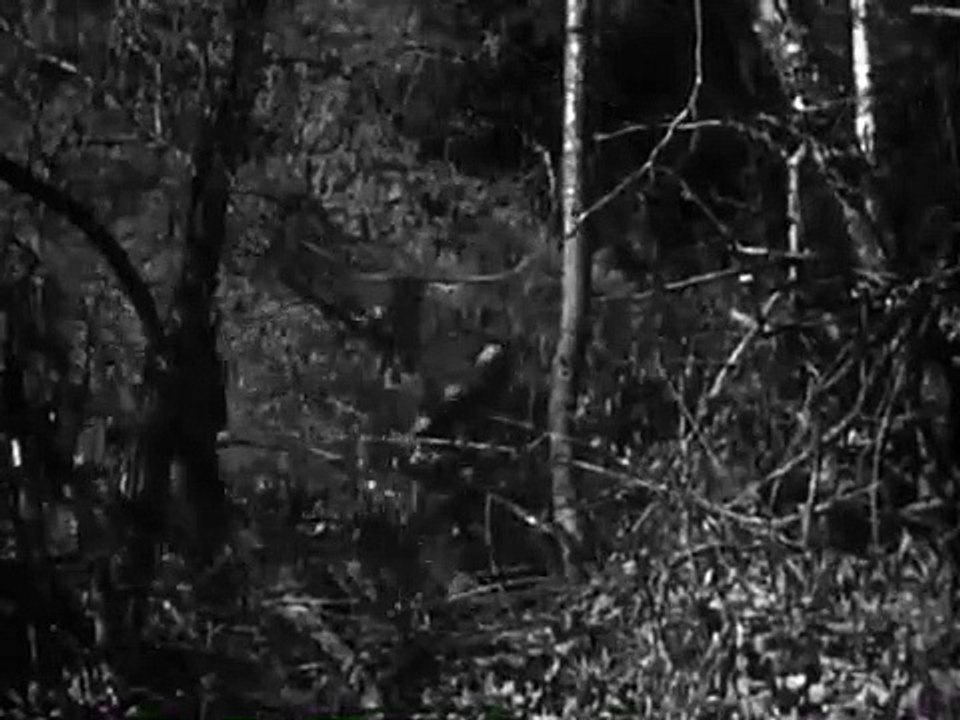 Daniel Boone - Se1 - Ep01 HD Watch