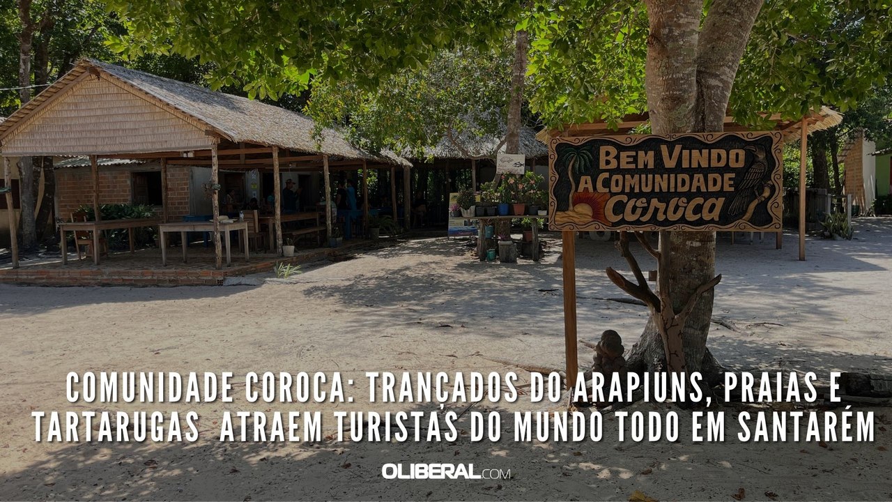 Comunidade Coroca: trançados do Arapiuns, praias e tartarugas  atraem turistas do mundo todo em Santarém