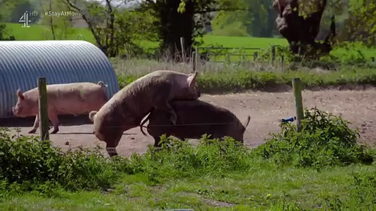 Spring at Jimmy's Farm - Se1 - Ep02 HD Watch