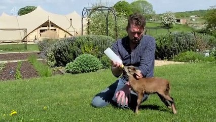 Spring at Jimmy's Farm - Se1 - Ep03 HD Watch