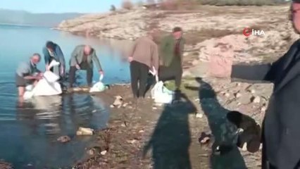 Osmaniye'de kuraklık nedeniyle okunmuş 70 bin taş göle bırakıldı