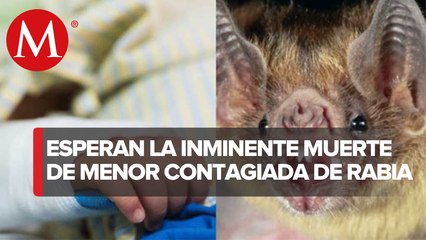 Menor contagiada de rabia sigue "grave y en estado vegetativo"