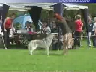 Oumiak's A Winter Tale --- German Specialty 2007