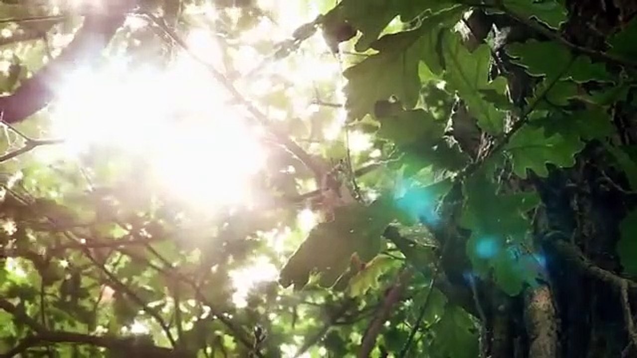 Inside the Mind of a Serial Killer - Se1 - Ep10 - Michel Fourniret and Monique HD Watch