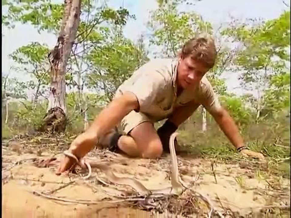 Crocodile Hunter - Ep08 HD Watch