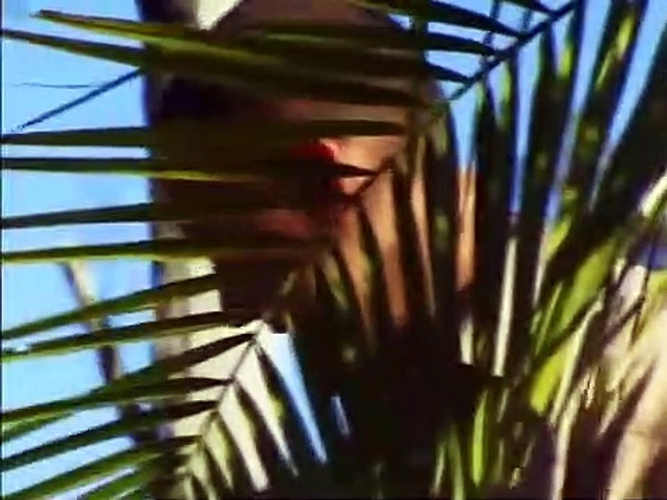 Crocodile Hunter - Ep03 HD Watch