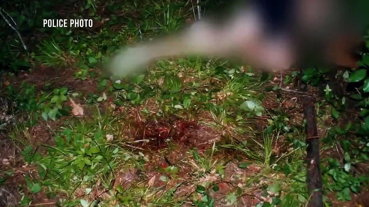 Lone Star Justice - Se1 - Ep06 - Long Arm of the Law HD Watch