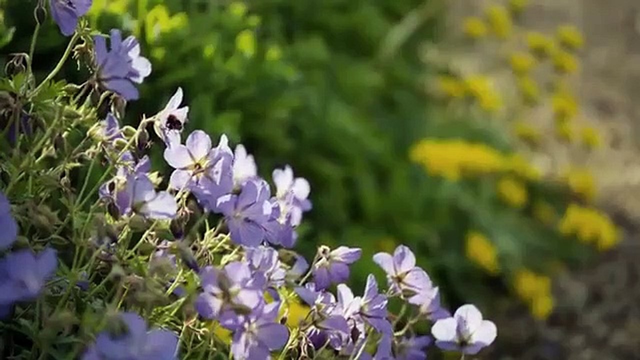 An American Aristocrat's Guide to Great Estates - Se1 - Ep05 - Doddington Hall HD Watch