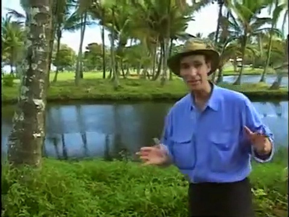 Bill Nye, the Science Guy - Se3 - Ep10 HD Watch