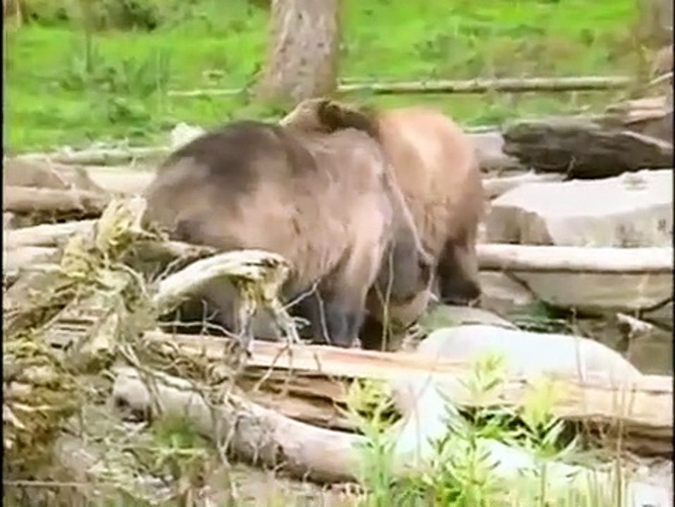 Bill Nye, the Science Guy - Se3 - Ep13 HD Watch