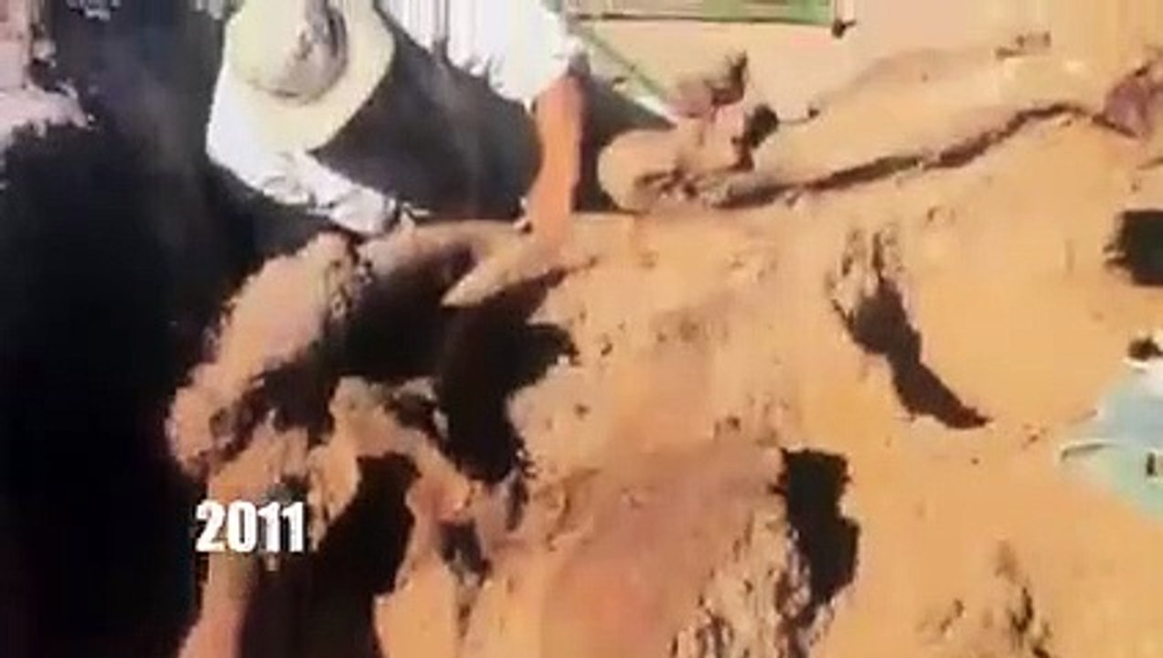 Dino Hunters - Se1 - Ep02 - Million-Dollar Dino HD Watch