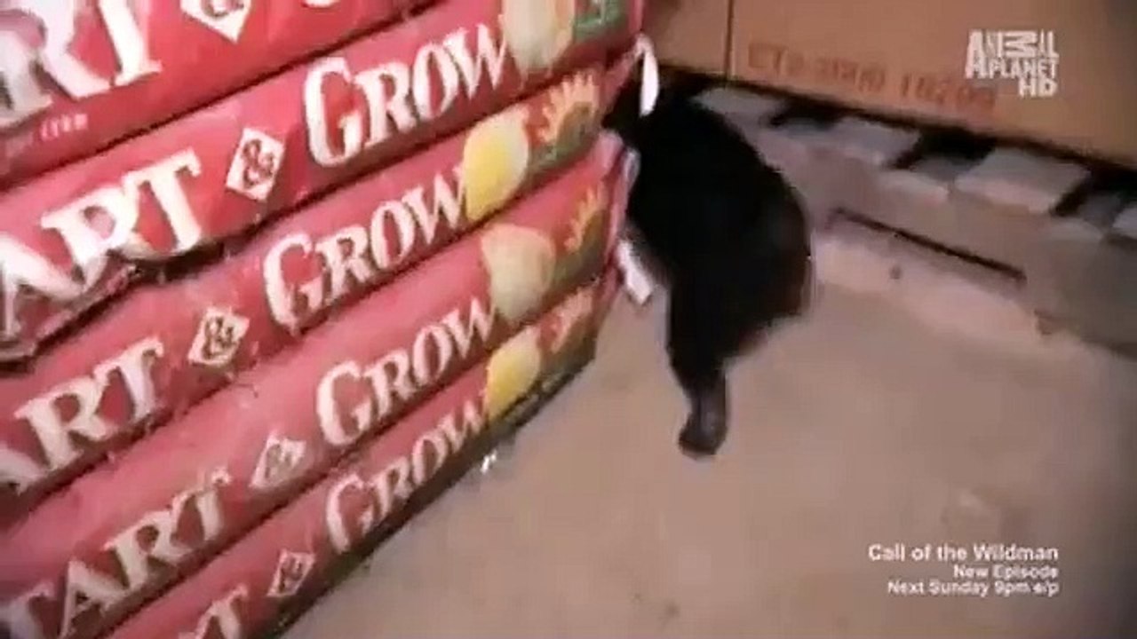 Call of the Wildman - Se3 - Ep03 HD Watch