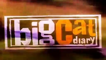 Big Cat Diary - Se3 - Ep05 HD Watch